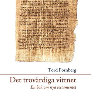 Det trovärdiga vittnet: En bok om nya testamentet